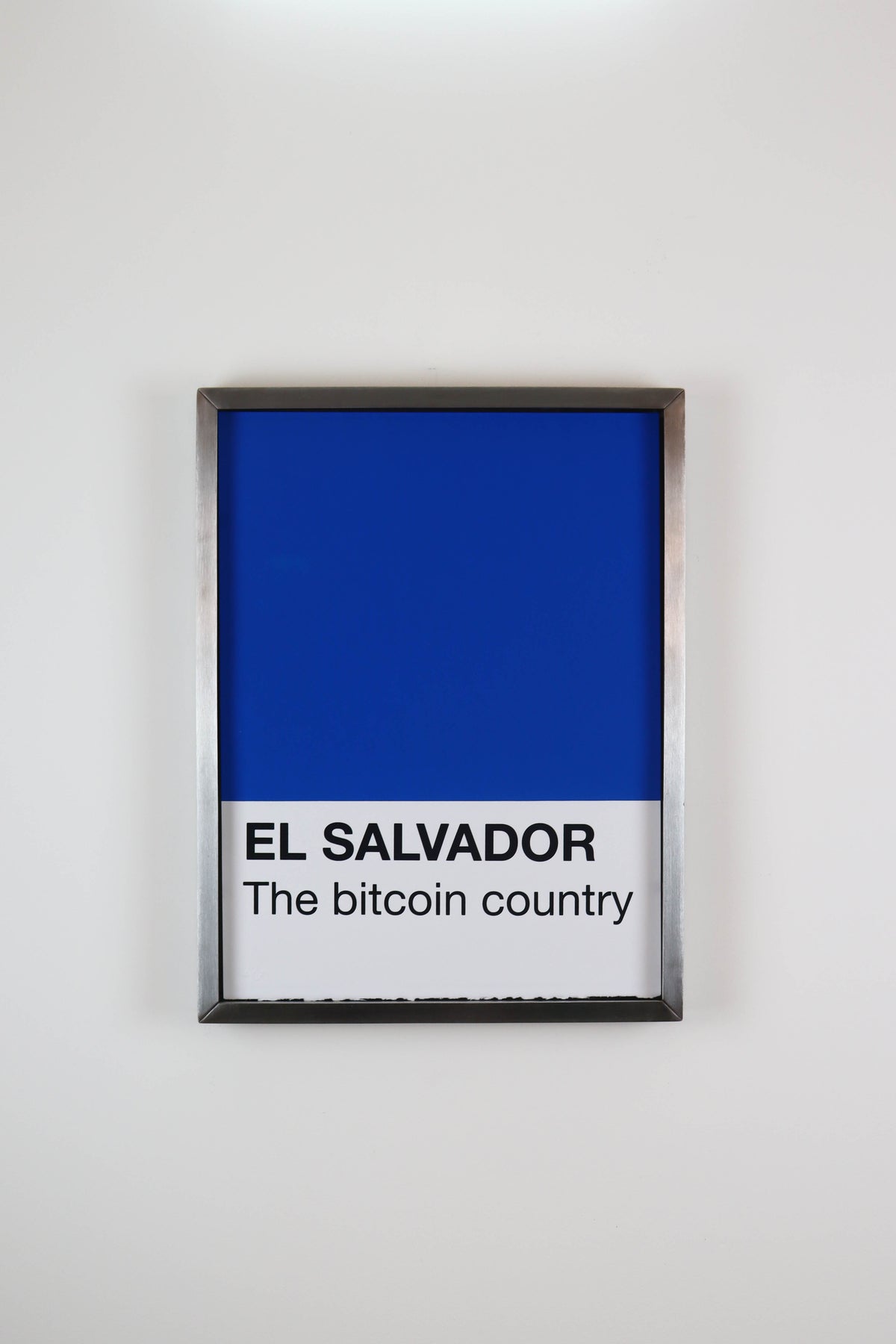 The Colour of Money