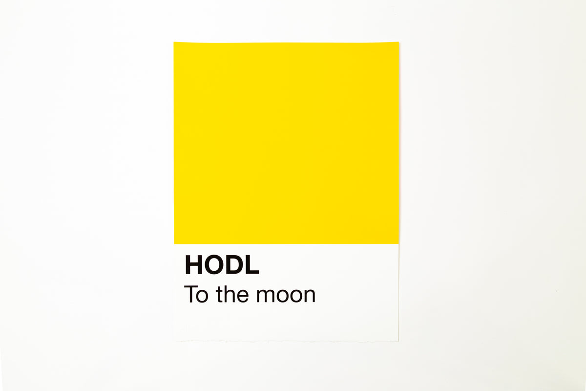 The Colour of Money